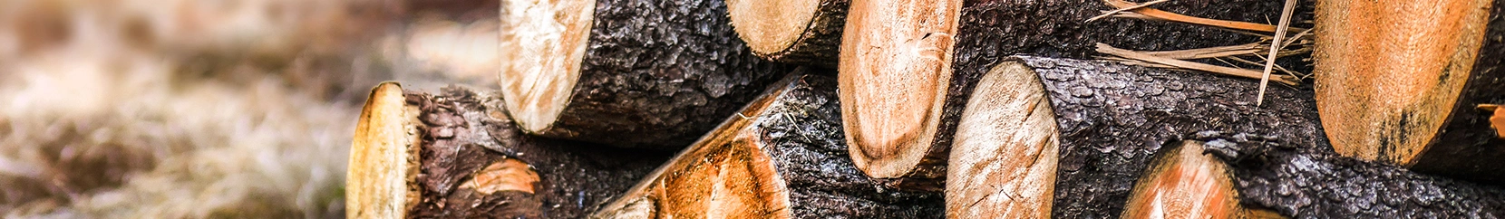 A close up photo of some logs.